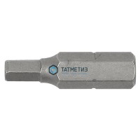 Бита под внутр шестигранник со штифтом HEX6 -  магазин крепежа «ТАТМЕТИЗ»