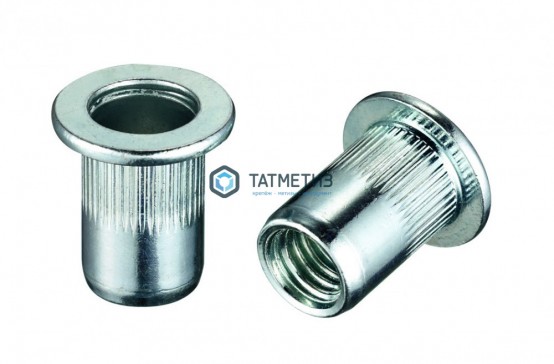Заклепка резьбовая цилиндрический борт М 6 с насечкой | «ТАТМЕТИЗ» Заклепка резьбовая цилиндрический борт М 6 с насечкой - магазин крепежа «ТАТМЕТИЗ»