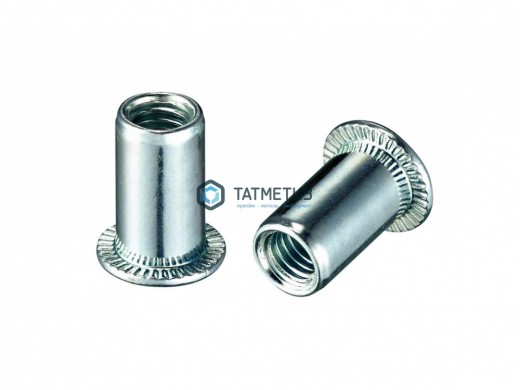 Заклепка резьбовая цилиндрический борт М 6 (1000 шт/уп) КL | «ТАТМЕТИЗ» Заклепка резьбовая цилиндрический борт М 6 (1000 шт/уп) КL - магазин крепежа «ТАТМЕТИЗ»